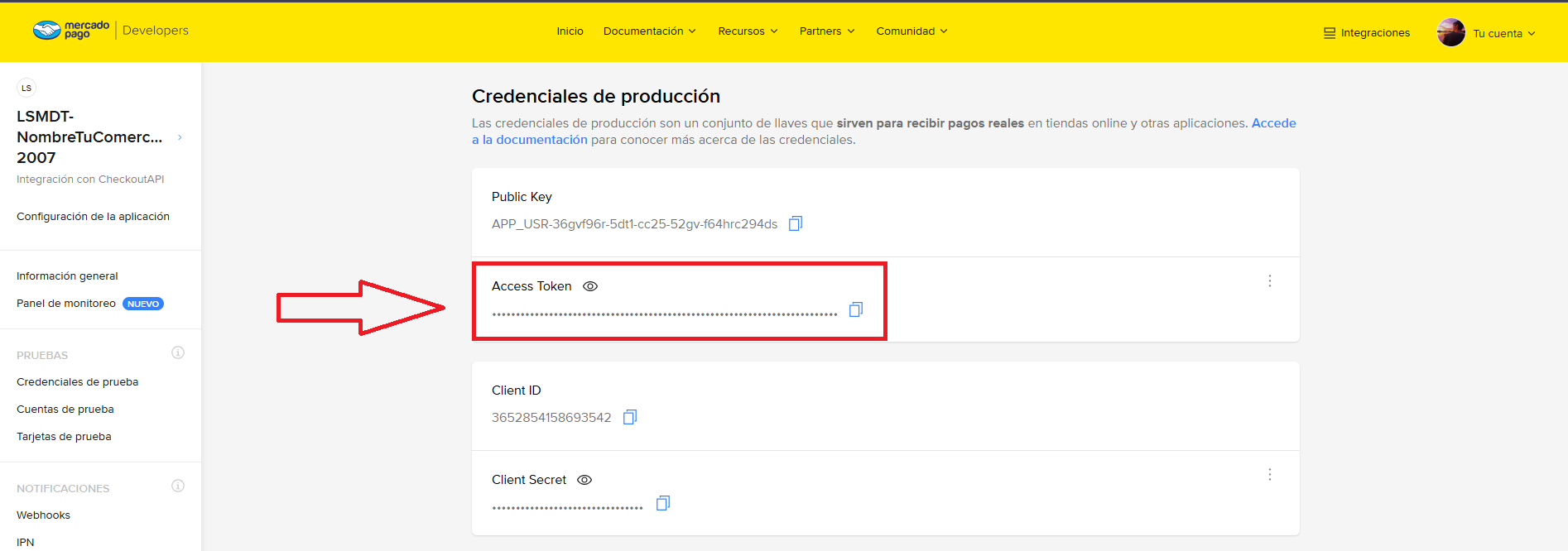 Paso 16: Copiá el Access Token